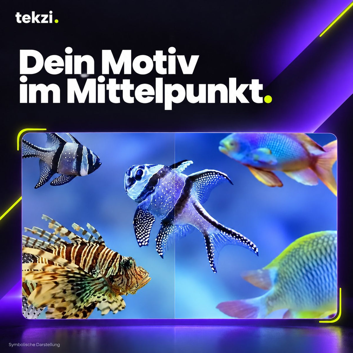 Symbolisches Projektionsmotiv mit Fischen im deutschen TEKZI-Design